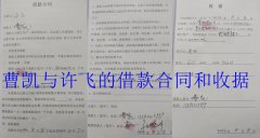 河南周口市一起借款纠纷竟涉多名法官警察被诉