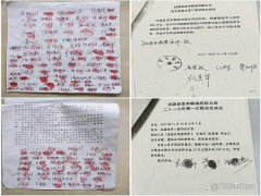 山东沂源县：企业重整存猫腻 股东利益难保障